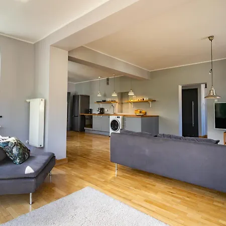 Platinium Spacious * Katowice
